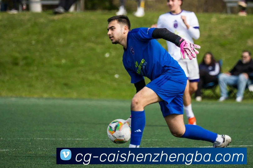 彩神争霸APP 封面图